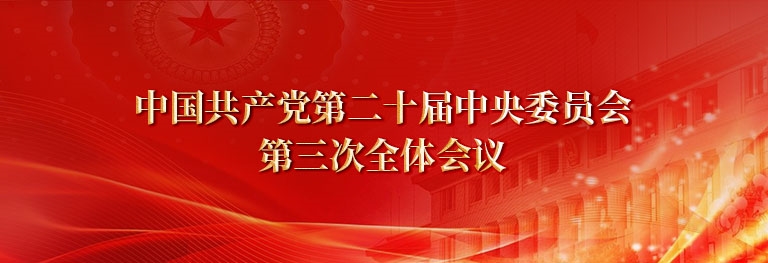 中国共产党第二十届中央委员会第三次全体会议